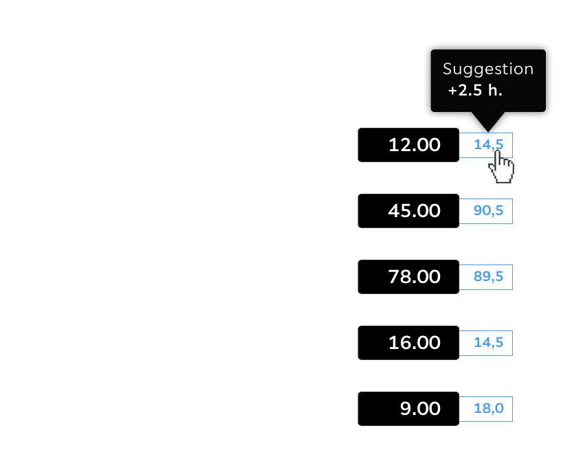 Details Project Budget